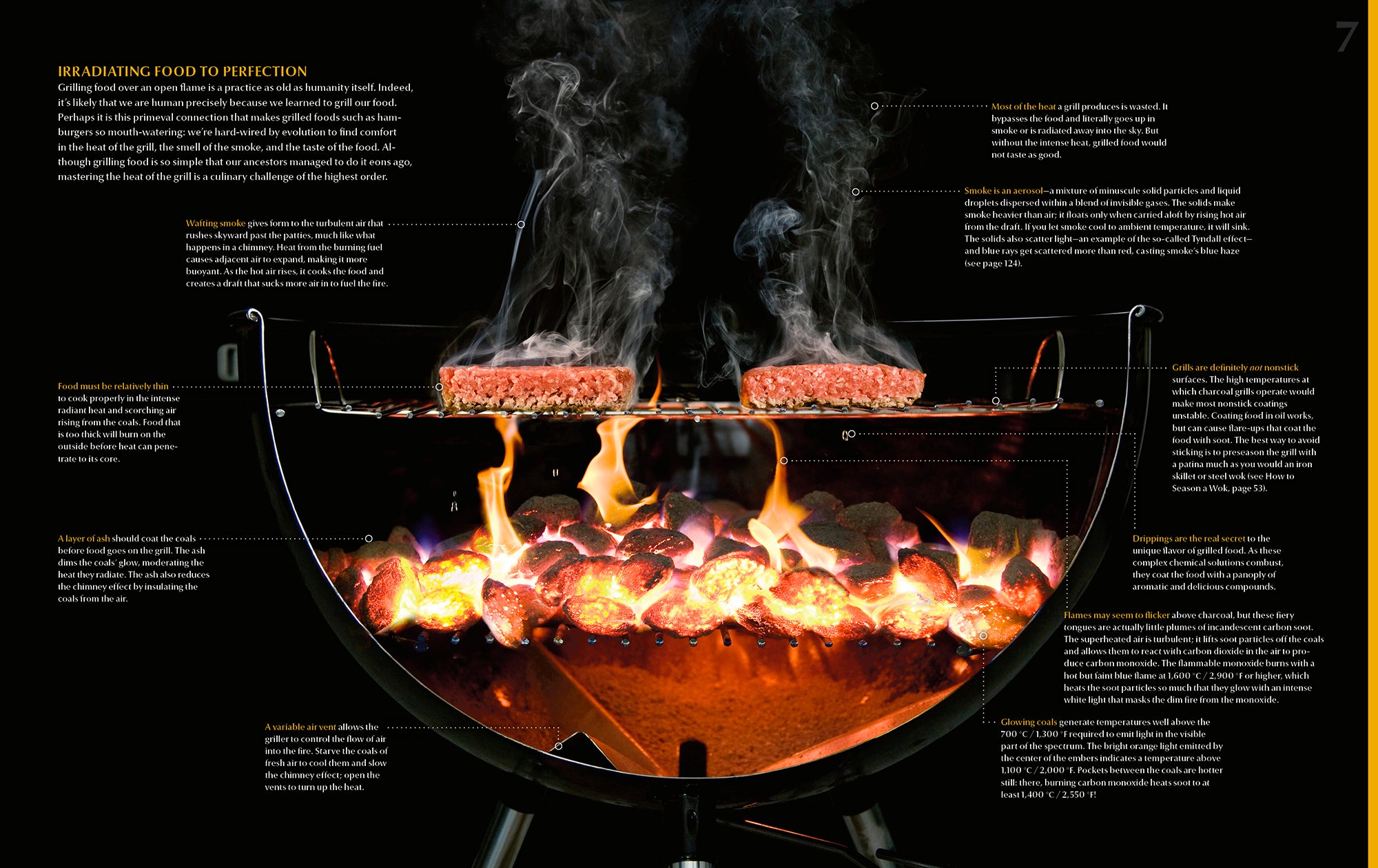 ModernistCuisineSampleSpread3_